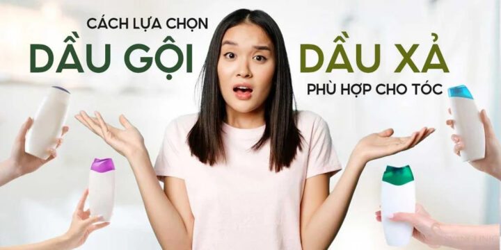Nhá»¯ng tiÃªu chÃ­ quan trá»ng Ä‘á»ƒ lá»±a chá»n dáº§u gá»™i cho da Ä‘áº§u nhá»n