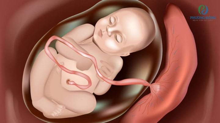 Nhau Bám Mặt Trước: Tư Thế Nằm Chuẩn Và Lời Khuyên Chăm Sóc