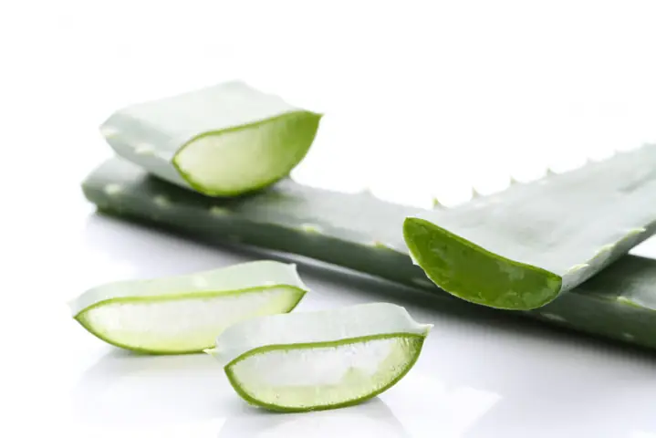 1. Thành phần dinh dưỡng của nha đam: