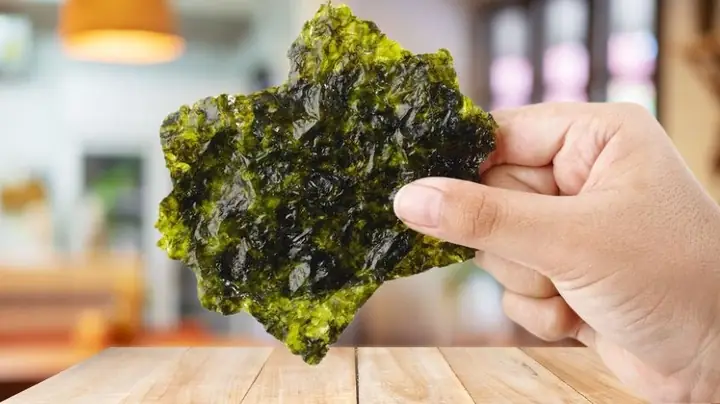 2.2. Rong biển có nhiều lỗ nhỏ