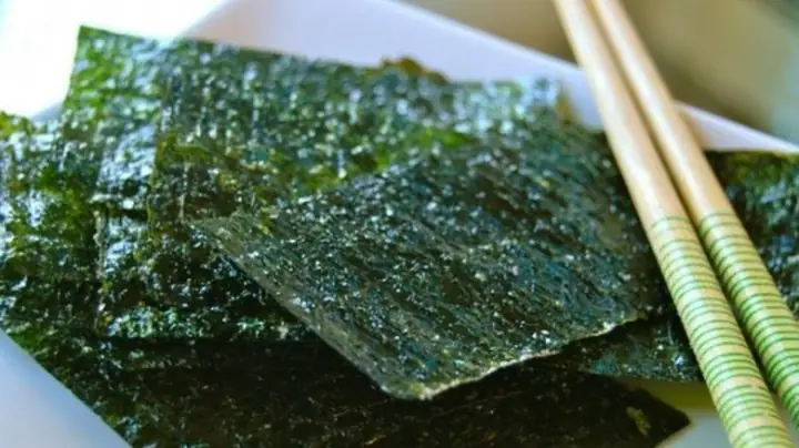 2.1. Rong biển có màu xanh đậm