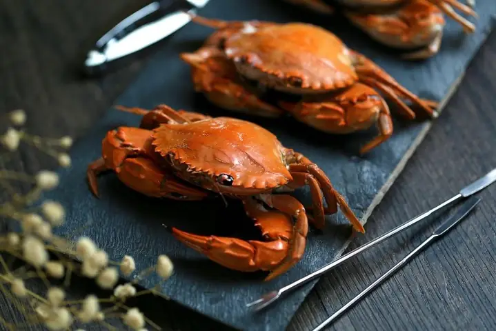 Lợi ích của cua biển