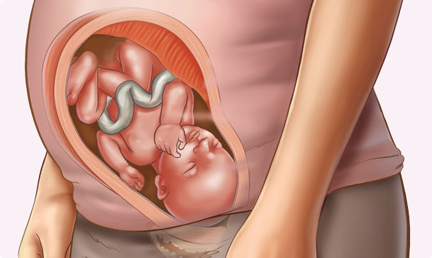 Bầu 30 Tuần Là Mấy Tháng? Hướng Dẫn Chăm Sóc Thai Kỳ Toàn Diện