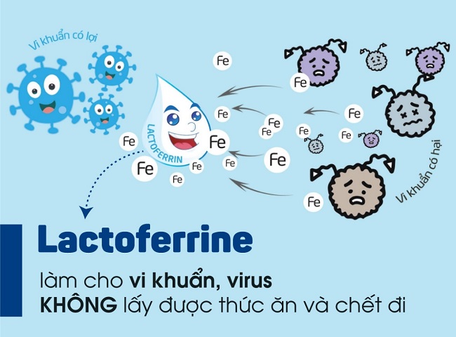 Sữa meiji infant formula dạng thanh nhập khẩu cho trẻ 0-1 tuổi