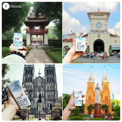 ThÃ¹ng sá»¯a TH True Milk nguyÃªn cháº¥t bá»ch 220ml