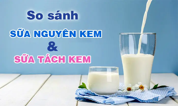 Sữa nguyên kem và sữa tách béo là gì?