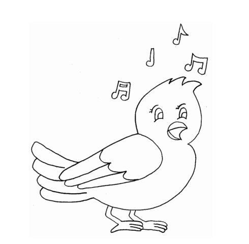 Táº­p tÃ´ mÃ u cho bÃ© 3 tuá»•i