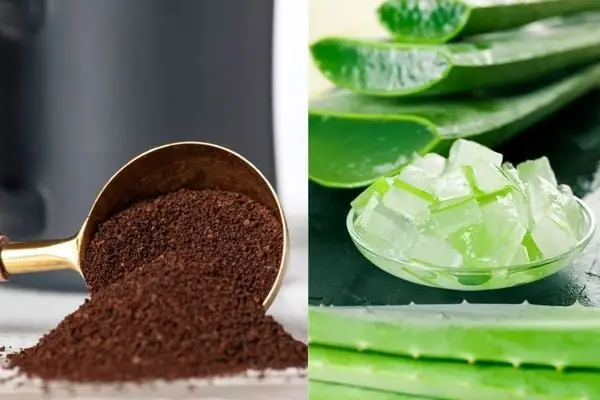 1. Tẩy tế bào chết bằng cà phê có tốt không? Vì sao?