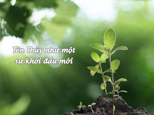 Tên Thủy Có Ý Nghĩa Gì? Giải Mã Đầy Đủ Và Chi Tiết