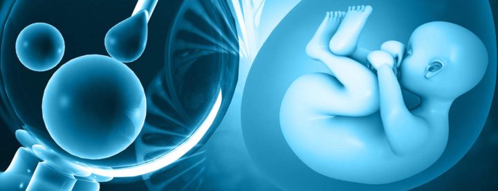 Thụ Tinh Nhân Tạo Ở Đâu Tốt Nhất: Hướng Dẫn Chi Tiết Thụ Tinh Nhân Tạo Ở Đâu Tốt Nhất: Hướng Dẫn Chi Tiết