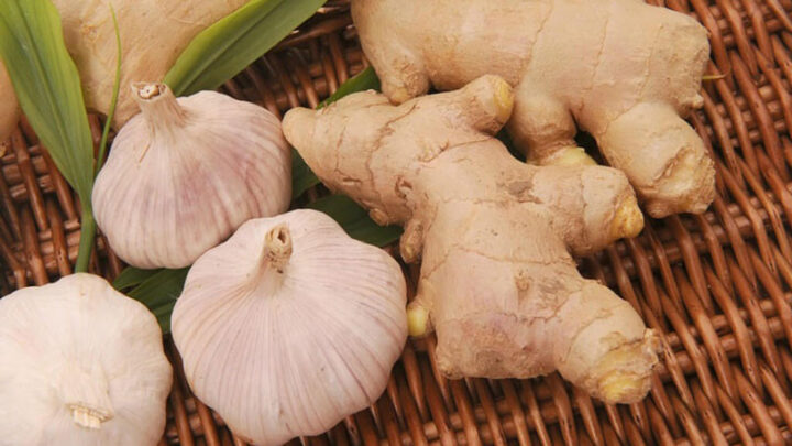 Mẹo trị ho cho trẻ nhỏ an toàn và hiệu quả tại nhà Mẹo trị ho cho trẻ nhỏ an toàn và hiệu quả tại nhà