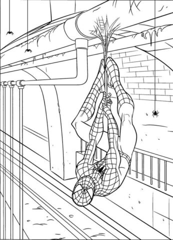 spider man tô màu cùng các siêu anh hùng