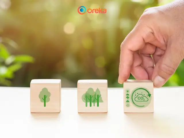 50+ khẩu hiệu bảo vệ môi trường