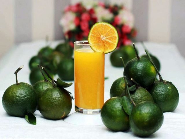 Nước Cam Uống Lúc Nào Tốt: Hướng Dẫn Chi Tiết Từ Chuyên Gia Nước Cam Uống Lúc Nào Tốt: Hướng Dẫn Chi Tiết Từ Chuyên Gia