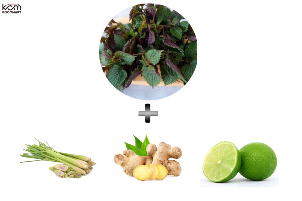 Xông mặt bằng lá tía tô kết hợp chanh, sả, gừng tăng cường hiệu quả