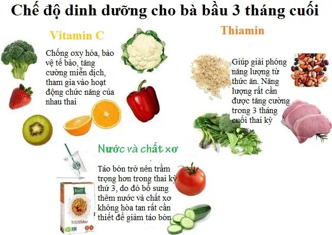 Ăn Gì Để Con Thông Minh? Dinh Dưỡng Vàng Cho Não Bộ Bé