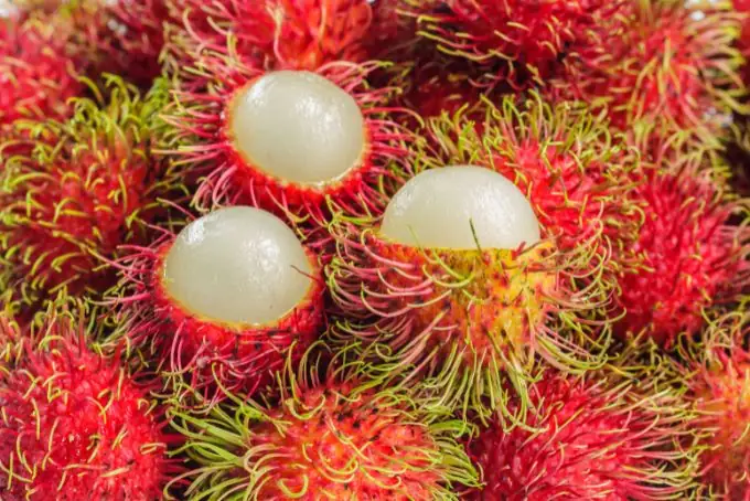1.1. Chất dinh dưỡng của chôm chôm