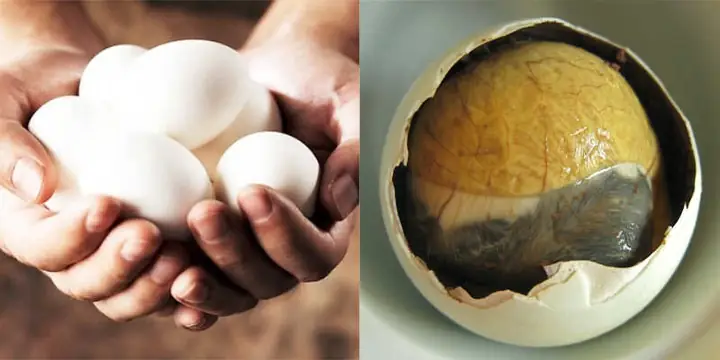 5Một số câu hỏi liên quan