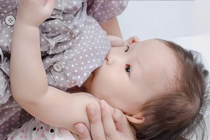 2Sau sinh ăn lá lốt có mất sữa không? 2Sau sinh ăn lá lốt có mất sữa không?