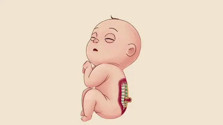 Giảm nguy cơ dị tật bẩm sinh ở thai nhi