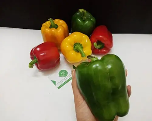 Bà bầu ăn ớt chuông được không?