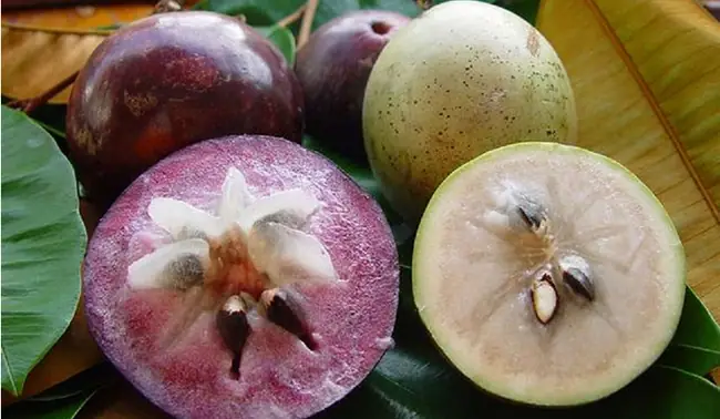 1. Mẹ bầu 3 tháng đầu ăn vú sữa được không?