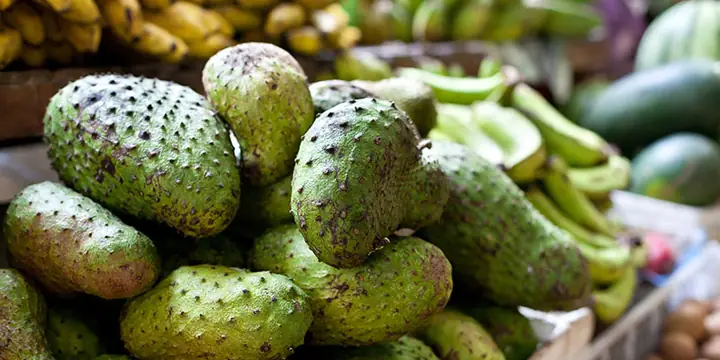 2Nên hay không nên ăn mãng cầu khi mang thai?