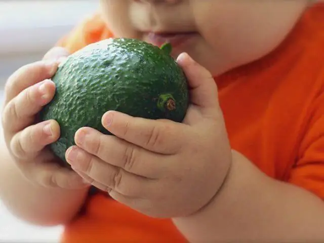 Chuối thường có nhiều calo và các loại đường chậm giải phóng mang đến nguồn năng lượng dồi dào cho bé 5 tháng tuổi.