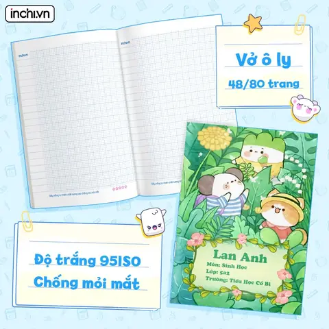 3. Vở ô ly