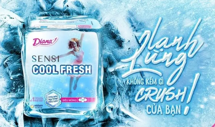 3.1. Băng vệ sinh Diana