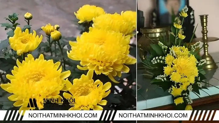 Cách cắm hoa cúc bằng mút xốp