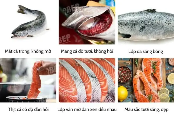 Cách bước sơ chế cá hồi cho bé ăn dặm không mất chất