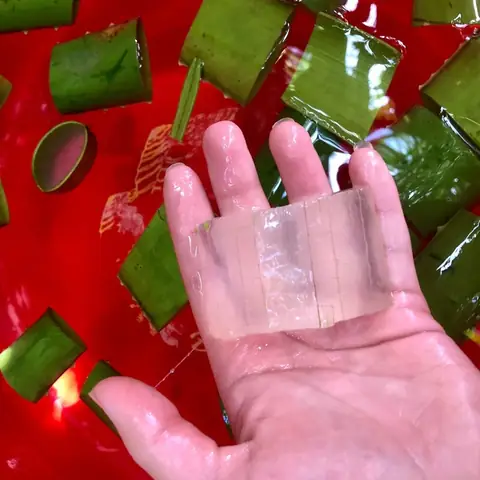 Sơ chế nha đam