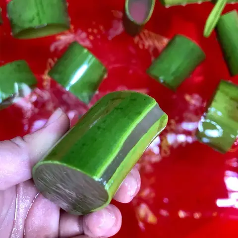 Sơ chế nha đam