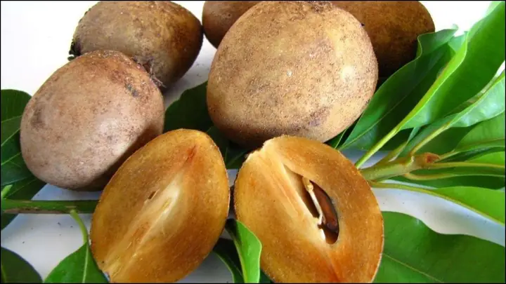 Cách làm sinh tố đu đủ hồng xiêm