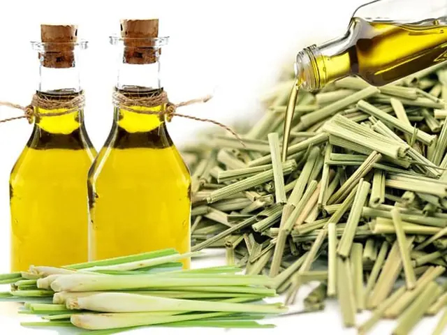Bước 3: Chưng cất bả phơi