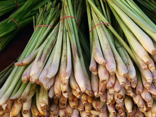 Bước 1: Làm sạch
