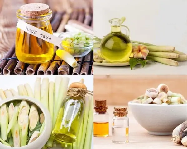 2 cách làm tinh dầu sả chanh đơn giản tại nhà
