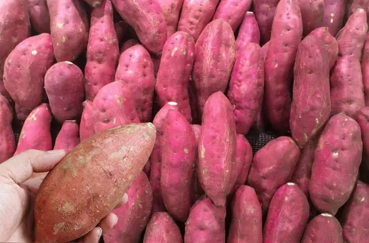2Cách chọn khoai lang nấu ăn dặm cho bé