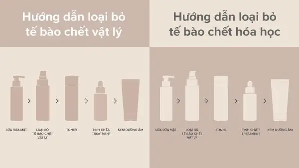 Cách sử dụng