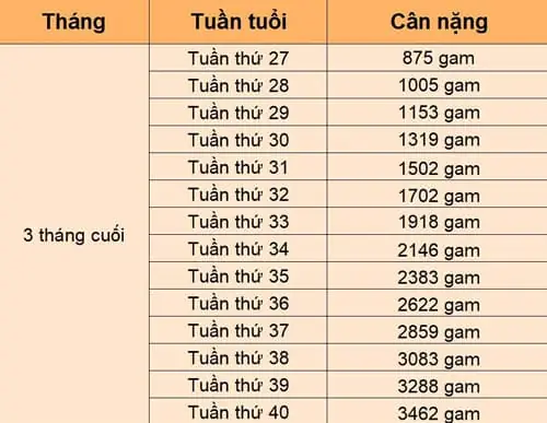 Cân nặng thai nhi 31 tuần: Chuẩn bao nhiêu là tốt?