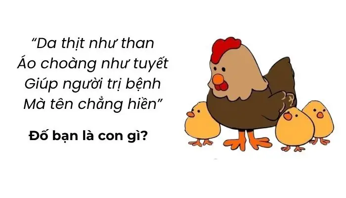 Những câu đố vui siêu hack não có đáp án