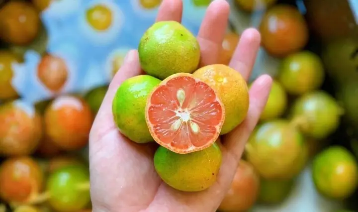 1.1. Giá trị dinh dưỡng của quả chanh đào