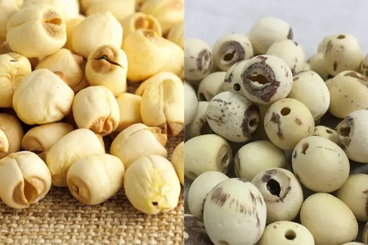 3Mẹo chọn hạt sen ngon để nấu cháo hạt sen cho bé