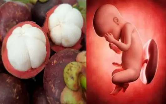 Giảm nguy cơ dị tật bẩm sinh ở thai nhi