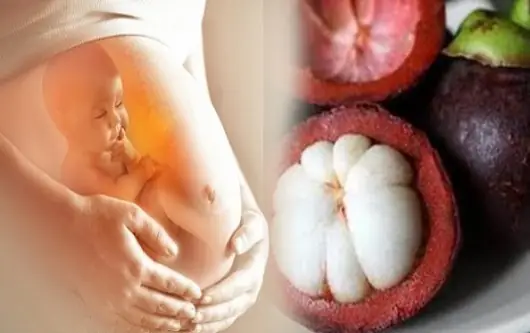 1. Bà bầu ăn măng cụt được không?