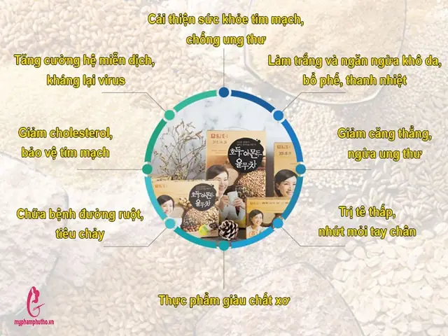 Bột Ngũ Cốc Dinh Dưỡng Damtuh Hàn Quốc Có Công dụng Gì ?