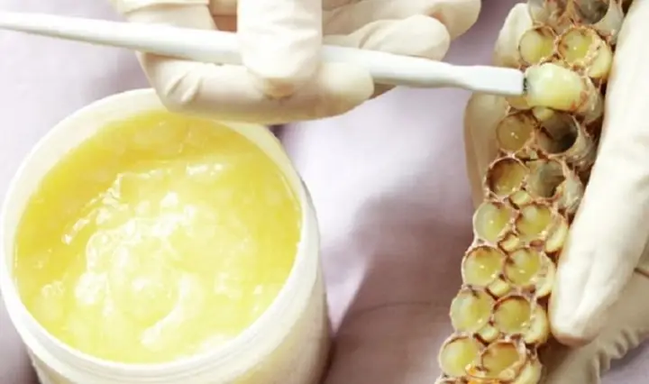 2Đắp mặt nạ sữa ong chúa có tác dụng gì? 2Đắp mặt nạ sữa ong chúa có tác dụng gì?