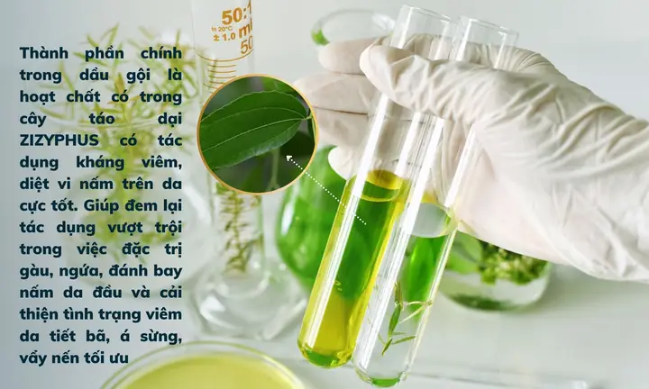 dầu gội đặc trị gàu mảng