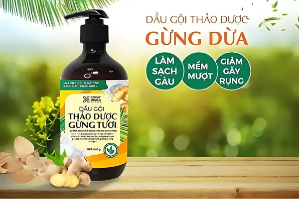 Dầu Gội Hữu Cơ Nào Tốt? Gợi Ý Cho Gia Đình Việt